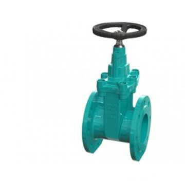 Corrosion Resistant titanium threaded gate valve